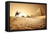 Bedouin on Camel near Pyramids in Desert-Givaga-Framed Stretched Canvas