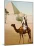 Bedouin on camel on the Giza plateau in Cairo. Ca. 1900-1910-null-Mounted Giclee Print