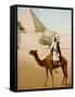 Bedouin on camel on the Giza plateau in Cairo. Ca. 1900-1910-null-Framed Stretched Canvas