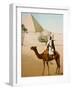 Bedouin on camel on the Giza plateau in Cairo. Ca. 1900-1910-null-Framed Giclee Print