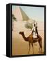 Bedouin on camel on the Giza plateau in Cairo. Ca. 1900-1910-null-Framed Stretched Canvas