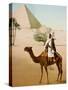 Bedouin on camel on the Giza plateau in Cairo. Ca. 1900-1910-null-Stretched Canvas