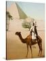 Bedouin on camel on the Giza plateau in Cairo. Ca. 1900-1910-null-Stretched Canvas