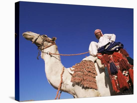 Bedouin Riding Camel, Sinai, Egypt, North Africa, Africa-Nico Tondini-Stretched Canvas