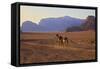 Bedouin with Camels, Wadi Rum, Jordan, Middle East-Neil Farrin-Framed Stretched Canvas