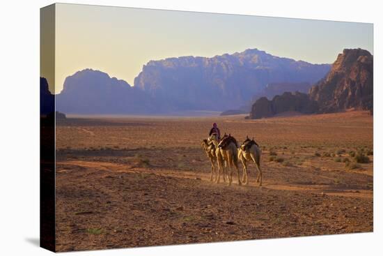 Bedouin with Camels, Wadi Rum, Jordan, Middle East-Neil Farrin-Stretched Canvas
