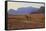 Bedouin with Camels, Wadi Rum, Jordan, Middle East-Neil Farrin-Framed Stretched Canvas