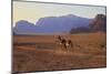 Bedouin with Camels, Wadi Rum, Jordan, Middle East-Neil Farrin-Mounted Photographic Print
