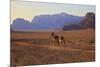 Bedouin with Camels, Wadi Rum, Jordan, Middle East-Neil Farrin-Mounted Photographic Print