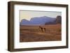 Bedouin with Camels, Wadi Rum, Jordan, Middle East-Neil Farrin-Framed Photographic Print