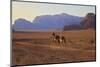 Bedouin with Camels, Wadi Rum, Jordan, Middle East-Neil Farrin-Mounted Photographic Print