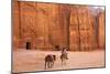 Bedouin with Donkeys in Front of the Outer Siq, Petra, Jordan, Middle East-Neil Farrin-Mounted Photographic Print