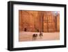 Bedouin with Donkeys in Front of the Outer Siq, Petra, Jordan, Middle East-Neil Farrin-Framed Photographic Print