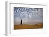 Bedouin woman in the desert. Abu Dhabi, UAE.-Tom Norring-Framed Photographic Print