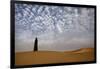 Bedouin woman in the desert. Abu Dhabi, UAE.-Tom Norring-Framed Photographic Print