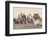 Bedouins Rest with their Camels-null-Framed Photographic Print