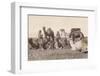 Bedouins Rest with their Camels-null-Framed Photographic Print