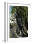 Bedrich Smetana Monument (Litomysl 1824-Prague-null-Framed Photographic Print