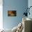 Bedroom Scene Bathed in Light (Oil on Card)-Victor Lecomte-Mounted Giclee Print displayed on a wall