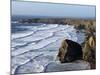 Bedruthan Steps, Cornwall, England, United Kingdom, Europe-Jeremy Lightfoot-Mounted Photographic Print