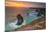 Bedruthan Steps, Newquay, Cornwall, England, United Kingdom-Billy Stock-Mounted Photographic Print