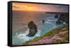 Bedruthan Steps, Newquay, Cornwall, England, United Kingdom-Billy Stock-Framed Stretched Canvas