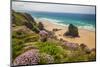 Bedruthan Steps, Newquay, Cornwall, England, United Kingdom-Billy Stock-Mounted Premium Photographic Print