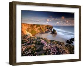 Bedruthan Steps on Cornish Coast, with Flowering Thrift, Cornwall, UK-Ross Hoddinott-Framed Photographic Print