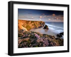 Bedruthan Steps on Cornish Coast, with Flowering Thrift, Cornwall, UK-Ross Hoddinott-Framed Photographic Print