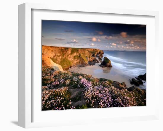 Bedruthan Steps on Cornish Coast, with Flowering Thrift, Cornwall, UK-Ross Hoddinott-Framed Photographic Print