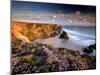 Bedruthan Steps on Cornish Coast, with Flowering Thrift, Cornwall, UK-Ross Hoddinott-Mounted Photographic Print