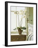 Bedside Orchid-Zhen-Huan Lu-Framed Giclee Print