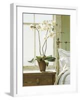 Bedside Orchid-Zhen-Huan Lu-Framed Giclee Print