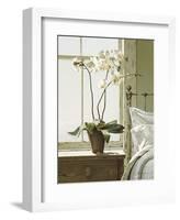 Bedside Orchid-Zhen-Huan Lu-Framed Art Print