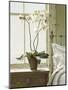 Bedside Orchid-Zhen-Huan Lu-Mounted Art Print