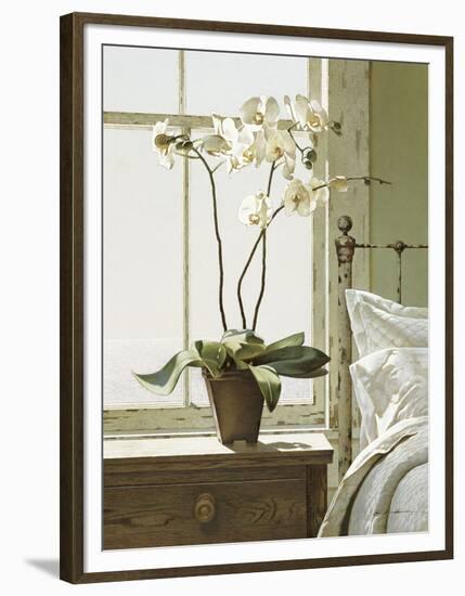 Bedside Orchid-Zhen-Huan Lu-Framed Art Print