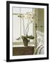 Bedside Orchid-Zhen-Huan Lu-Framed Art Print