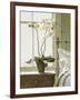 Bedside Orchid-Zhen-Huan Lu-Framed Art Print