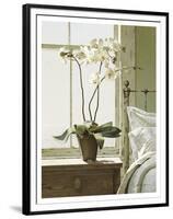 Bedside Orchid-Zhen-Huan Lu-Framed Art Print