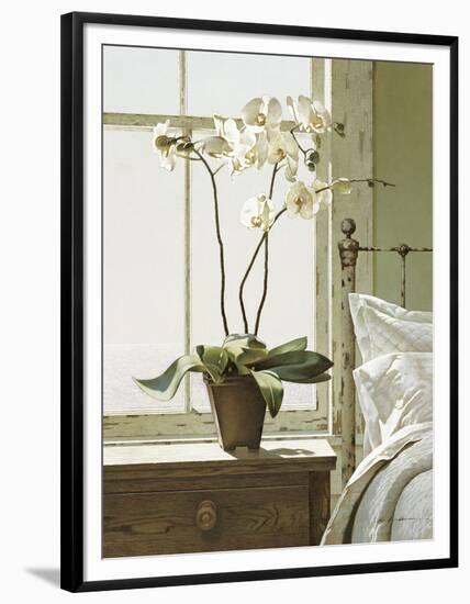 Bedside Orchid-Zhen-Huan Lu-Framed Art Print