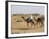 Bedu Rides His Camel Amongst the Sand Dunes in the Desert-John Warburton-lee-Framed Photographic Print