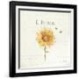 Bee and Bee III-Katie Pertiet-Framed Art Print