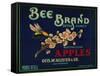 Bee Apple Crate Label - San Francisco, CA-Lantern Press-Framed Stretched Canvas