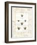 Bee Botanical-Sue Schlabach-Framed Art Print