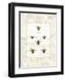 Bee Botanical-Sue Schlabach-Framed Art Print