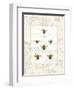 Bee Botanical-Sue Schlabach-Framed Art Print