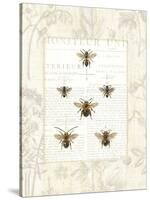 Bee Botanical-Sue Schlabach-Stretched Canvas