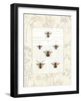 Bee Botanical-Sue Schlabach-Framed Premium Giclee Print