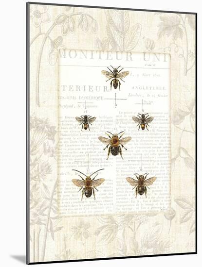 Bee Botanical-Sue Schlabach-Mounted Premium Giclee Print