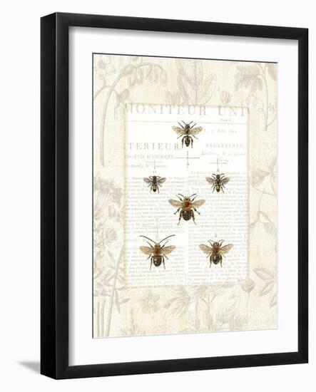 Bee Botanical-Sue Schlabach-Framed Art Print